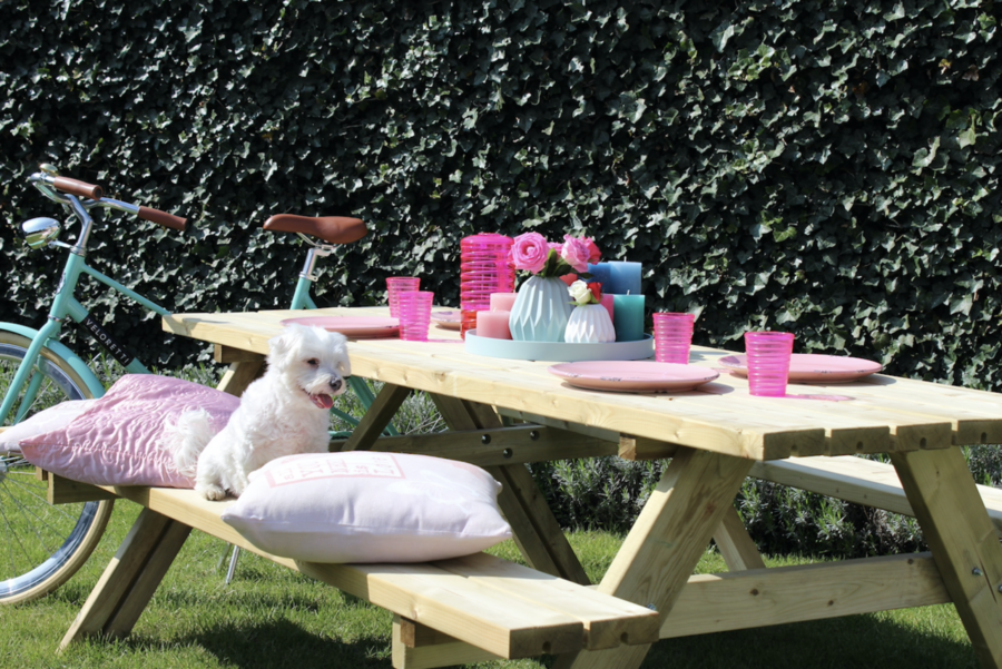 4-persoons picknicktafel geïmpregneerd