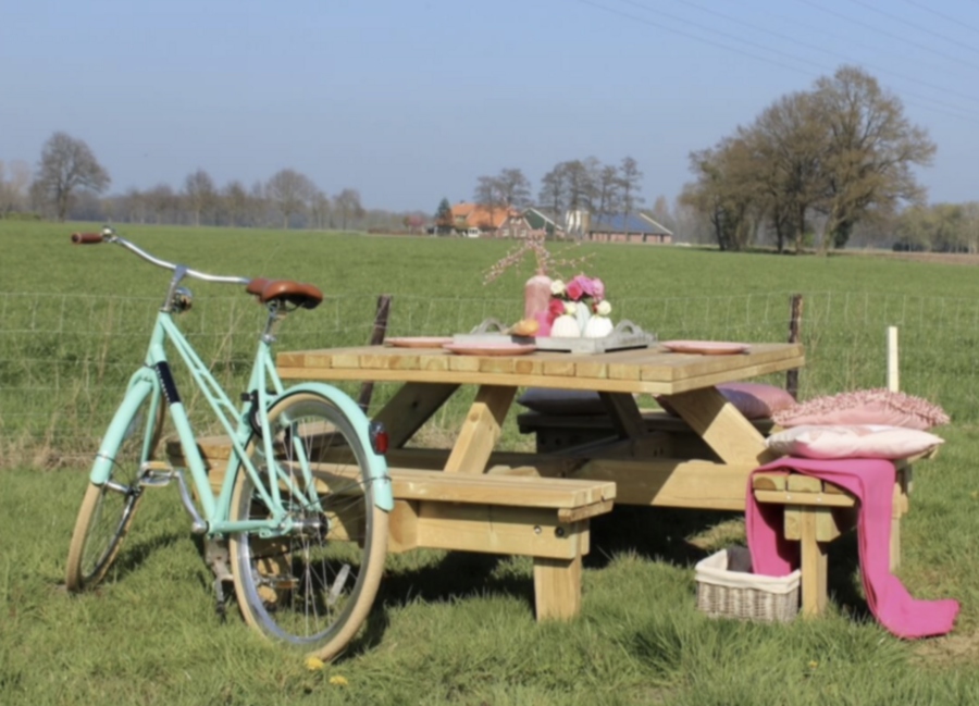8-persoons picknicktafel geïmpregneerd