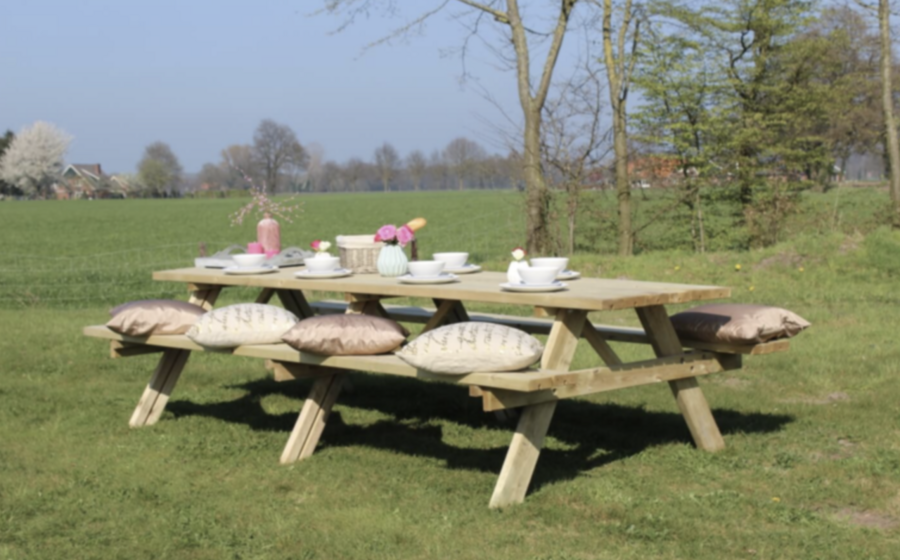 10-persoons picknicktafel geïmpregneerd