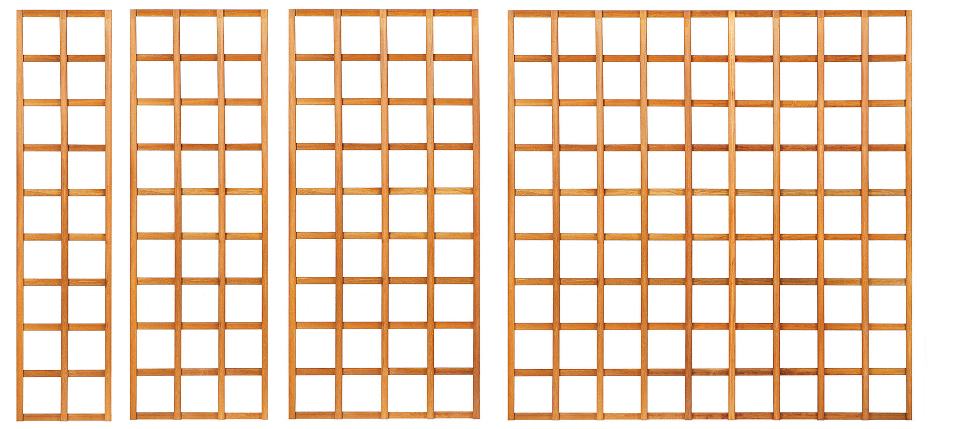 Trellis recht hardhout 60 x 180 cm
