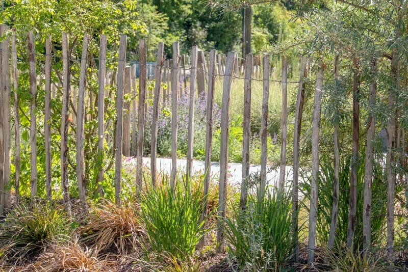 Engelse kastanjehekwerk op rol met 5 cm latafstand 460 x 90 cm