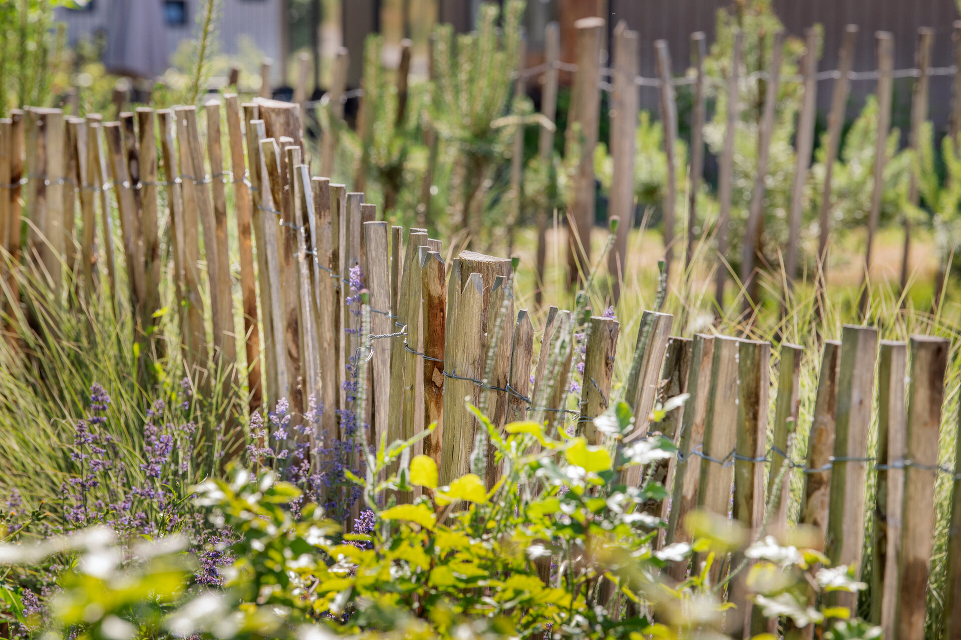 Engelse kastanjehekwerk op rol met 5 cm latafstand 460 x 90 cm