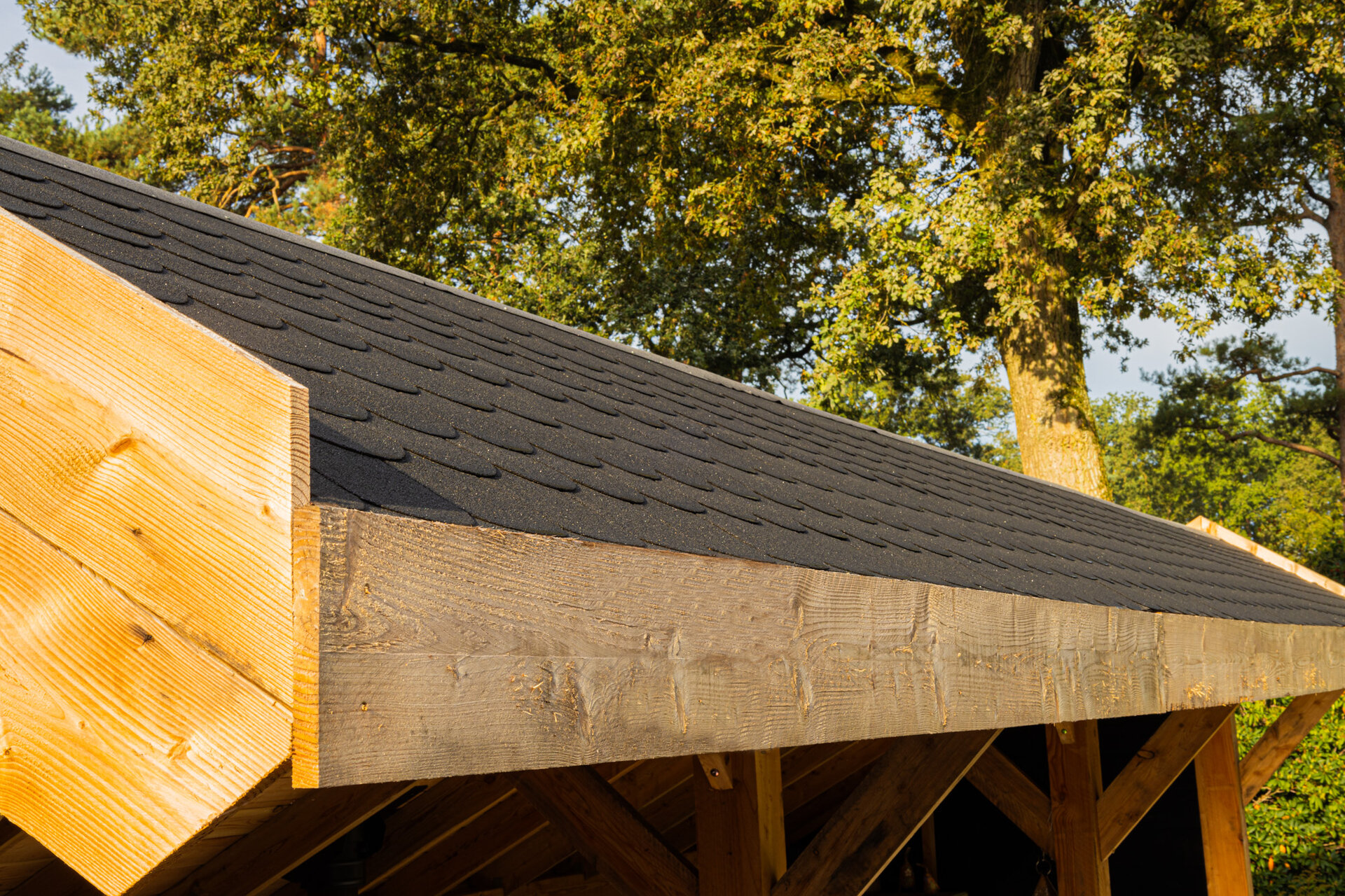 Kapschuur Boekelo Douglas 900 x 340 cm - Zwarte wanden