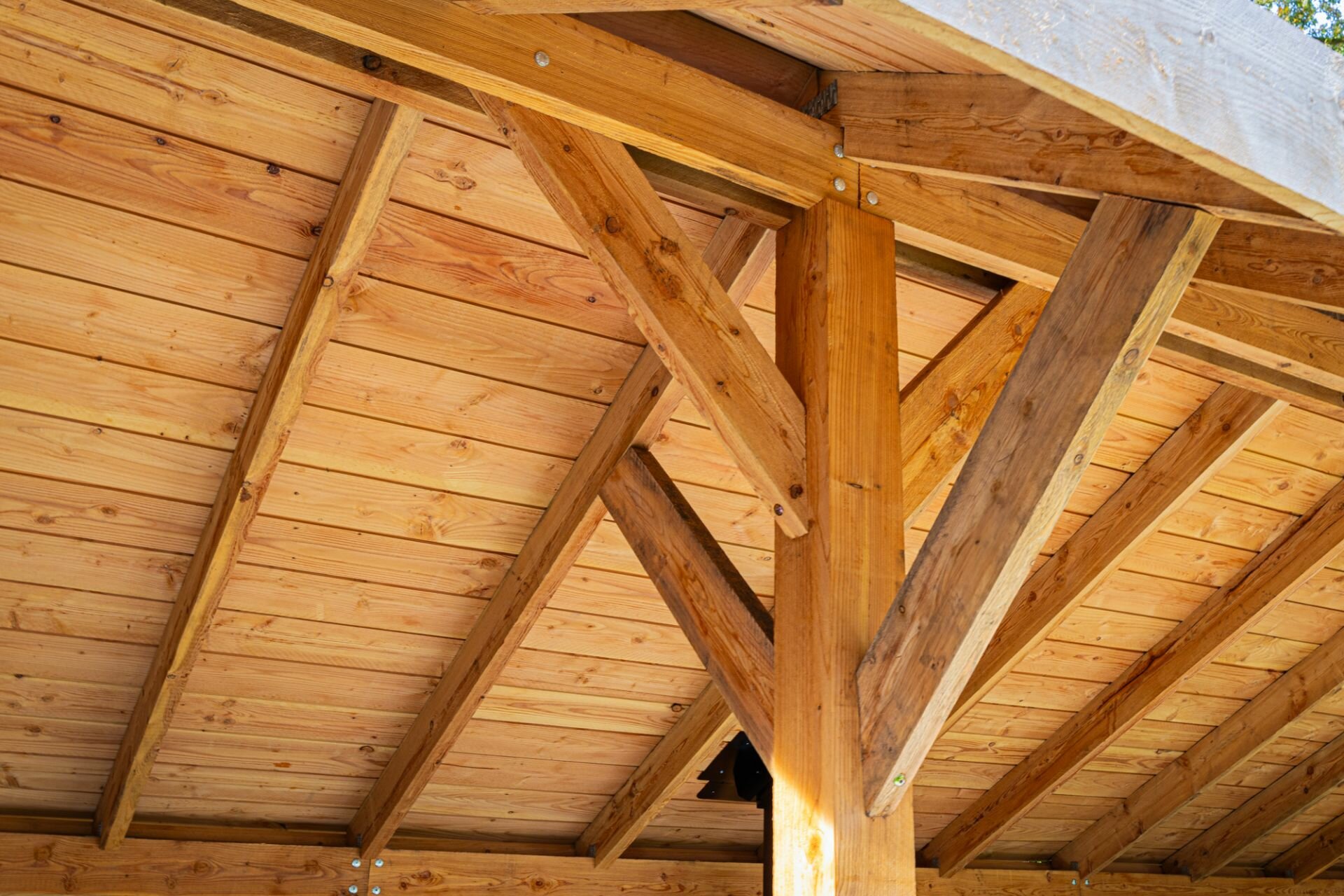 Kapschuur Boekelo Douglas 900 x 340 cm - Zwarte wanden