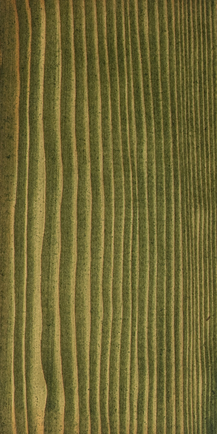 Beits Dennengroen 2,5 ltr