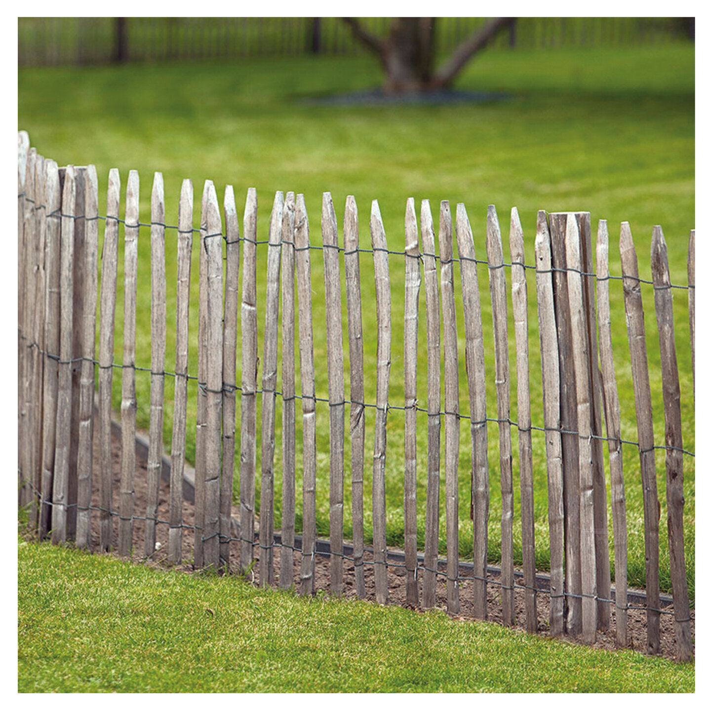 Engelse kastanjehekwerk op rol met 5 cm latafstand 460 x 180 cm
