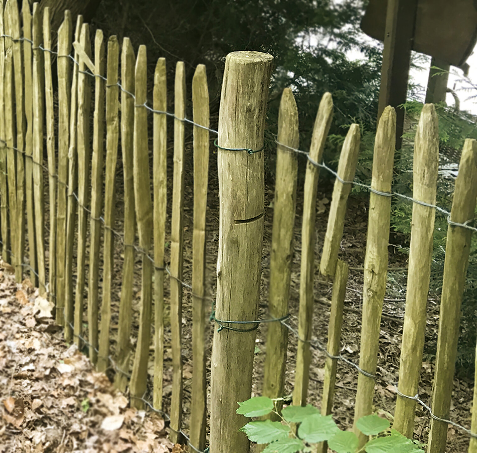 Kastanje paal &Oslash; 7,0-9,0 x 250 cm, gepunt en geschild