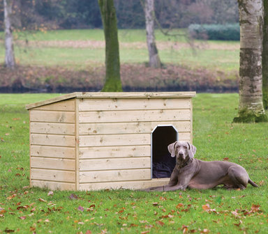 Hondenverblijf Teckel - Hondenhok