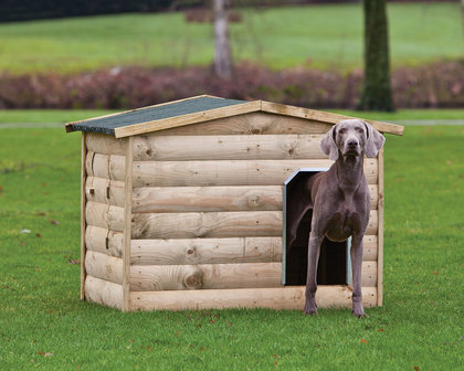 Hondenverblijf Labrador