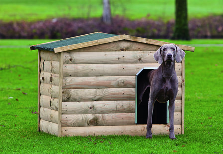 Hondenverblijf Labrador