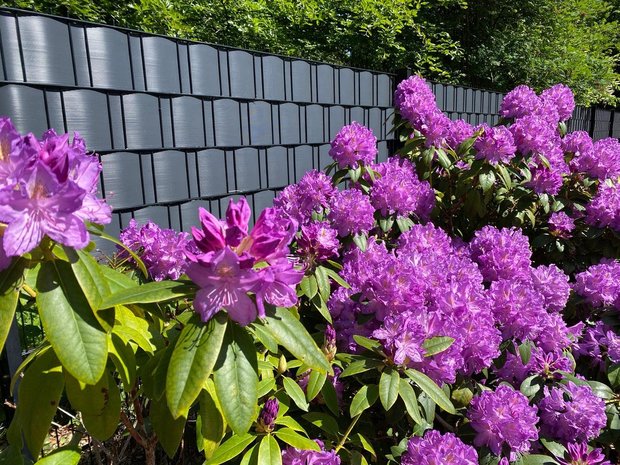 Vlechtband 50 meter - Met vlechtband creëer je eenvoudig meer privacy in je tuin. 