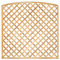 Trellis diagonaal met tooglijst H180cm