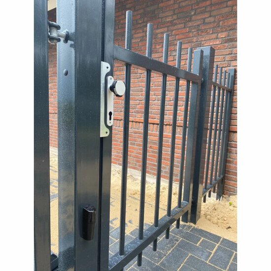 Spijlenpaneel enkele poort rond doorgestoken 100 cm