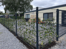 Dubbelstaafmat 8/6/8&nbsp;mm x 250 cm - 2,5 meter breed&nbsp;