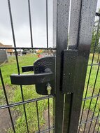 Enkele Poort 100 cm breed voor Dubbelstaafmat