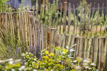 Engelse kastanjehekwerk op rol met 5 cm latafstand 460 x 90 cm