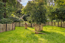 Engelse kastanjehekwerk op rol met 7,5 cm latafstand 460 x 120 cm