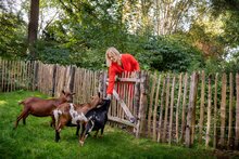 Engelse kastanjehekwerk op rol met 5 cm latafstand 460 x 180 cm