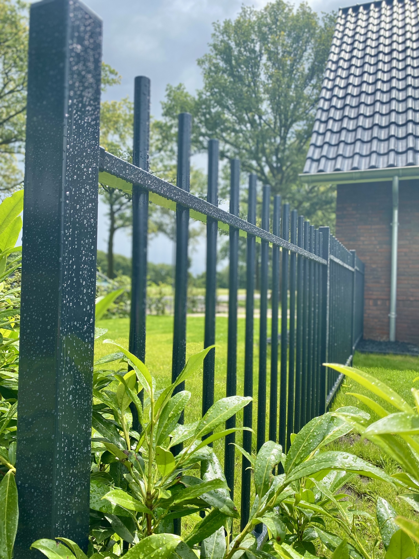 Spijlenpaneel rond doorgestoken RAL6009 (Dennengroen)