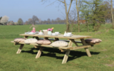 Picknicktafel Parijs Geïmpregneerd vuren 300 x 154 x 74 cm (10-12 personen)_
