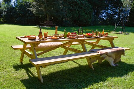 Picknicktafel Parijs Geïmpregneerd vuren 300 x 154 x 74 cm (10-12 personen)