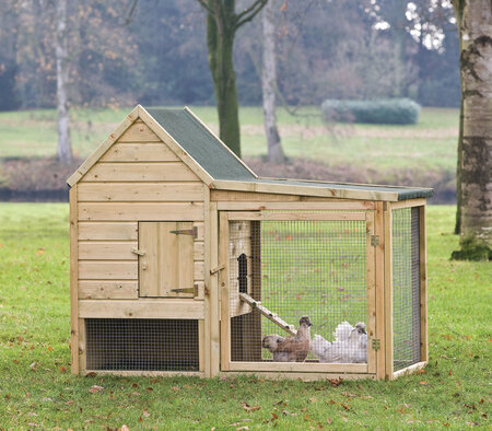 Kippenverblijf Wyandotte - Kippenhok