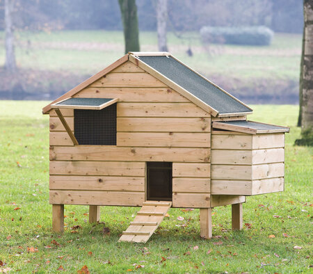 Kippenverblijf Lakenvelder - Kippenhok