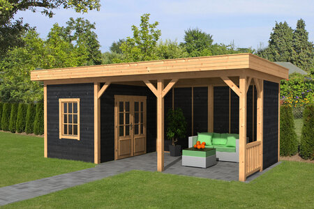 Overkapping Oslo L, type 8 - 682 x 371 cm - Zwart gespoten Douglas