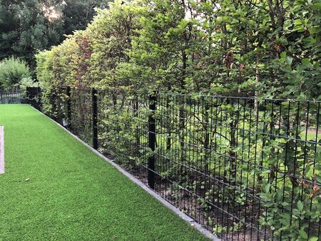 Dubbelstaafmat Excellent - 2,5 meter breed