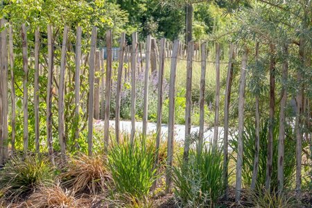 Engelse kastanjehekwerk op rol met 5 cm latafstand 460 x 90 cm