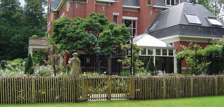 Kastanje paal Ø 7,0-9,0 x 175 cm, gepunt en geschild