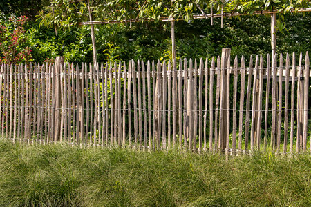 Kastanje paal Ø 7,0-9,0 x 250 cm, gepunt en geschild