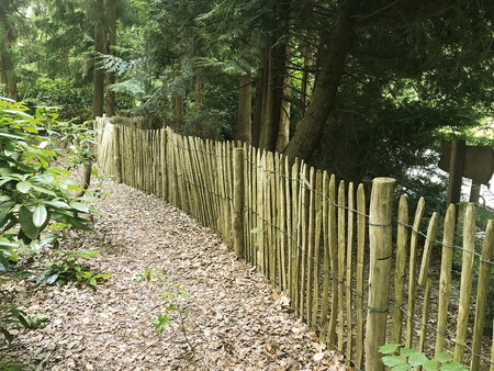 Engelse kastanjehekwerk op rol met 7,5 cm latafstand 460 x 90 cm